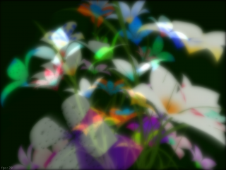 hana02 hana02