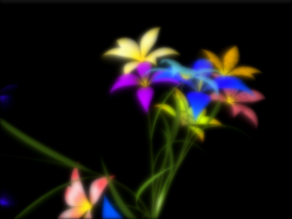 hana03 hana03