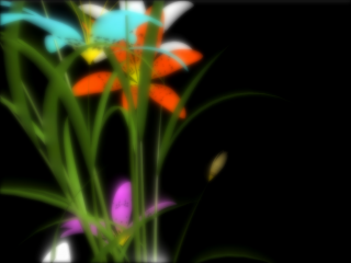 hana04 hana04