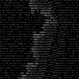 asciiani00