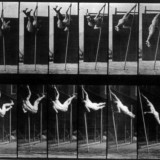 muybridge3