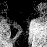 Mycelium00