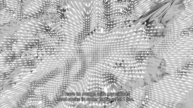 silica03