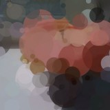 Chromocam04