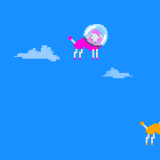 poodles00