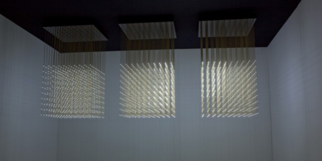Swarm-Light-2-650x325