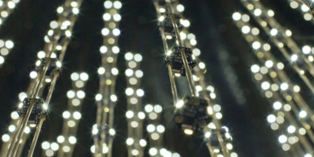 Swarm-Light-4-650x325