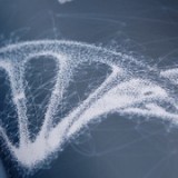 actelion_report01x