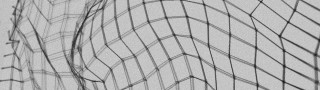 springmesh01x