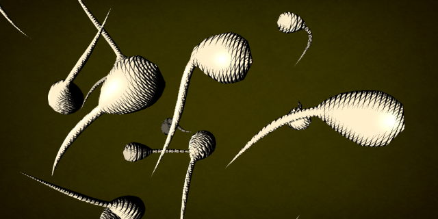 tadpoles03