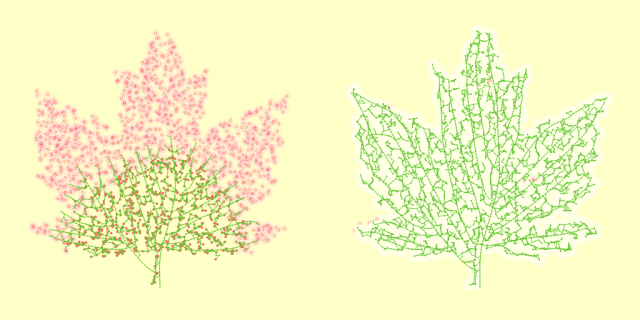 space-colonization_leaf