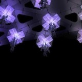 Jelly Swarm [Air]