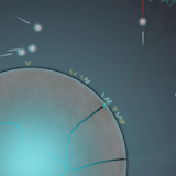 E_Eufloria_PSN_1280 copy