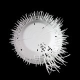 infobjects_bowl_black