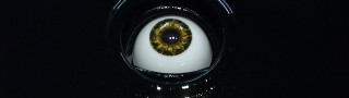 Golan Levin 02 copy