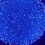 Fluidic – Sculpture in Motion by WHITEvoid