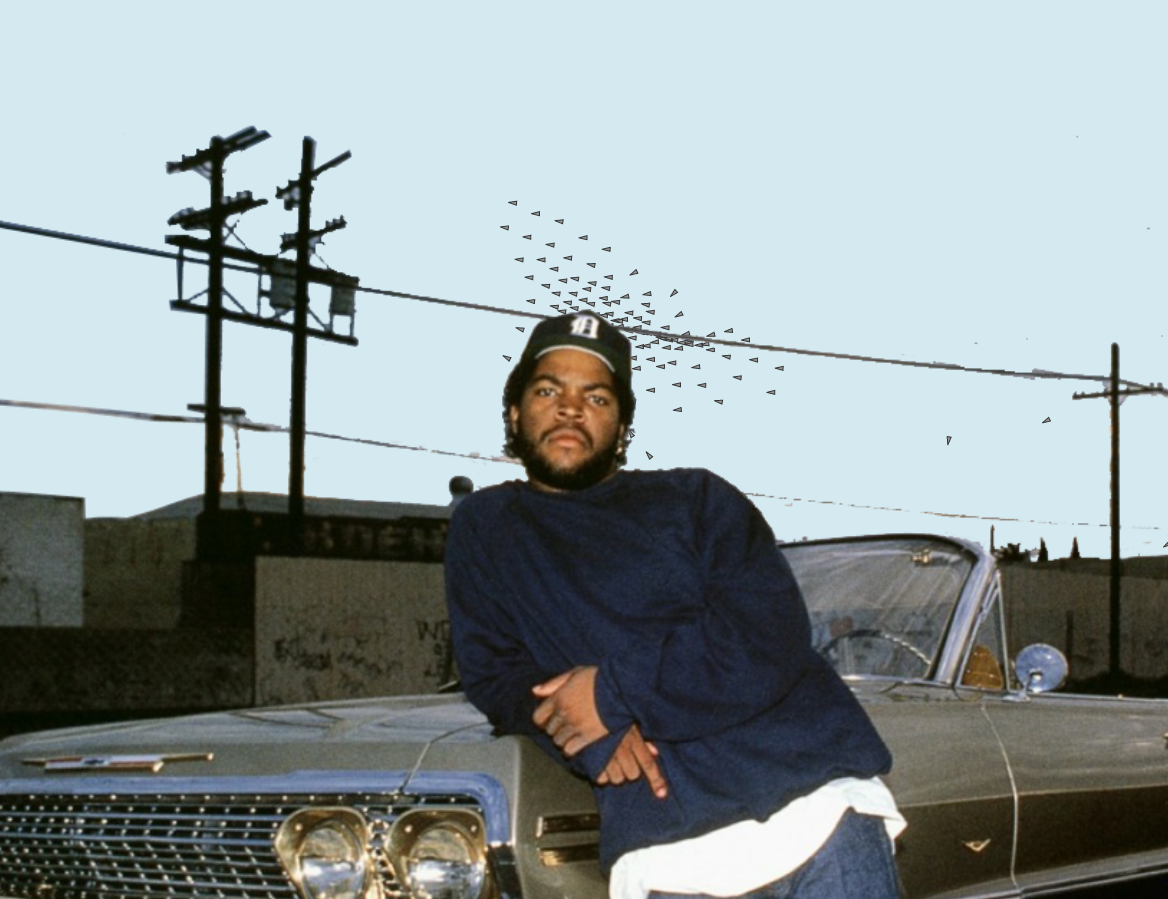 Boids in the hood