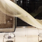 Bloom Skin – The wave installation for Elttob Tep Issey Miyake