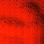 Kinect Cloth Simulations [Processing]