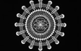 doilies-hiv