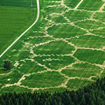 Avena+ Test Bed – Agricultural printing and altered landscapes