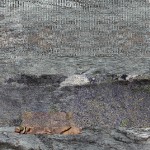 It’s doing it – Online exhibition of computer generated images that autonomously update